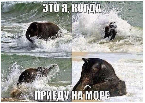 Прикольные картинки (84 фото)