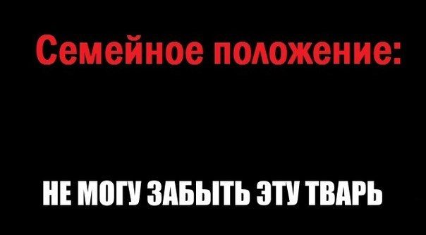 Прикольные картинки (84 фото)