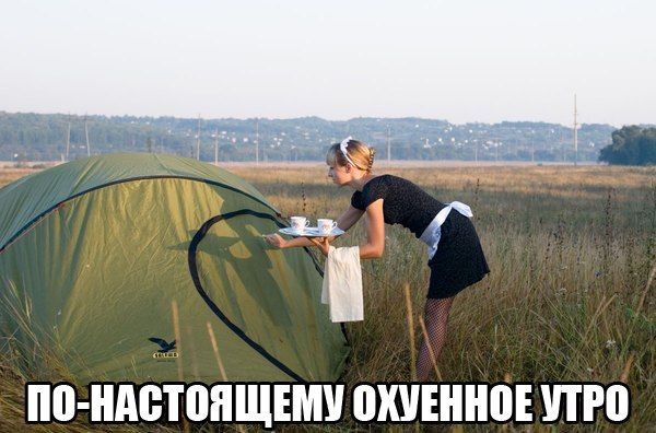Прикольные картинки (84 фото)