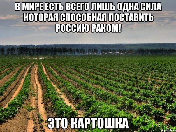 Прикольные картинки (84 фото)
