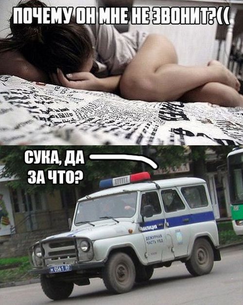 Порция картинок: 21.05.15