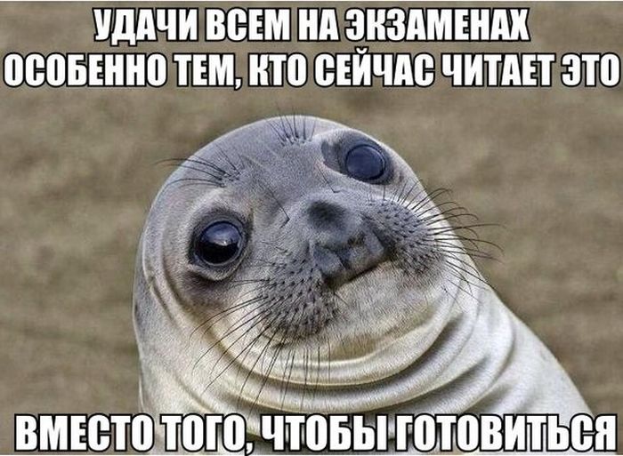 Порция картинок: 21.05.15