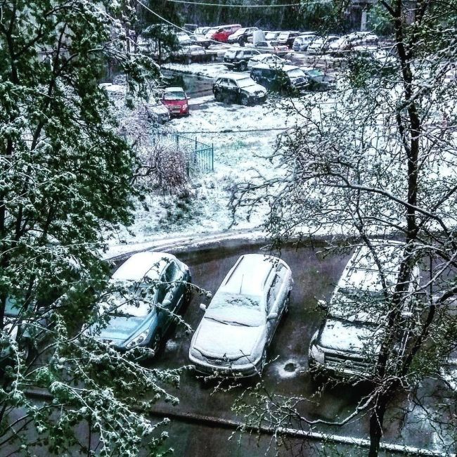 Снегопад в Мурманской области