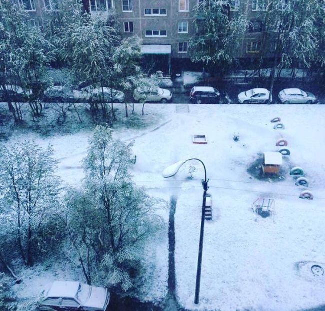 Снегопад в Мурманской области