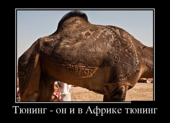 Демотиваторы