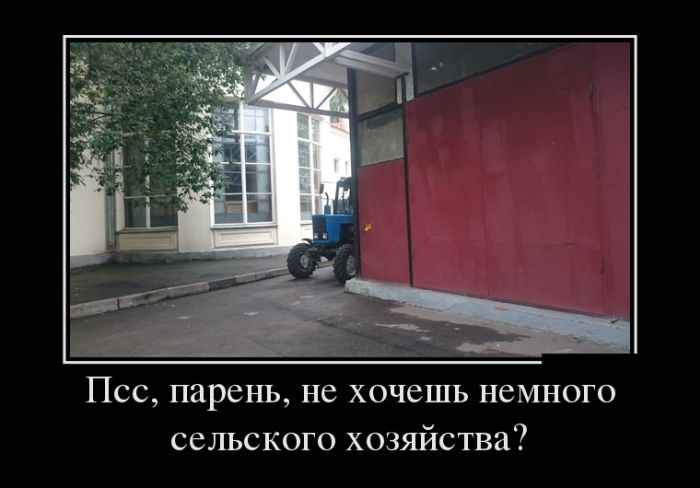 Демотиваторы