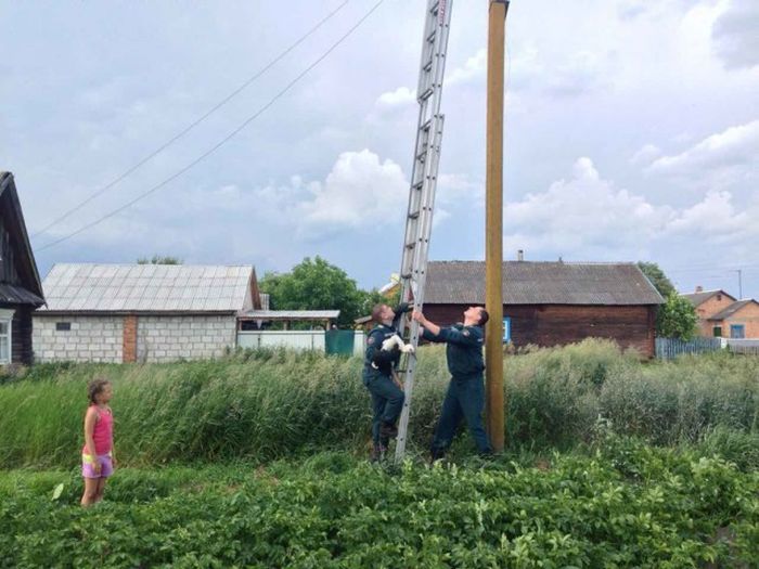 Белорусские спасатели вернули в гнездо выпавшего аиста