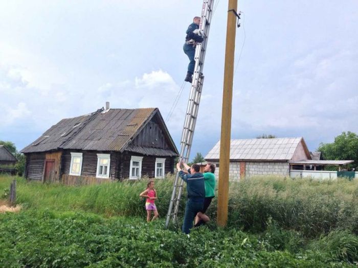 Белорусские спасатели вернули в гнездо выпавшего аиста