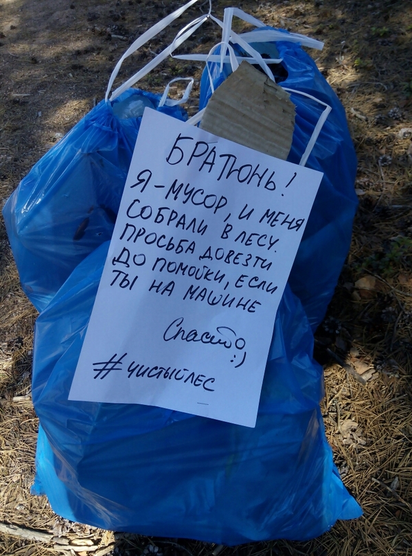 Борьба с лесными микро-свалками