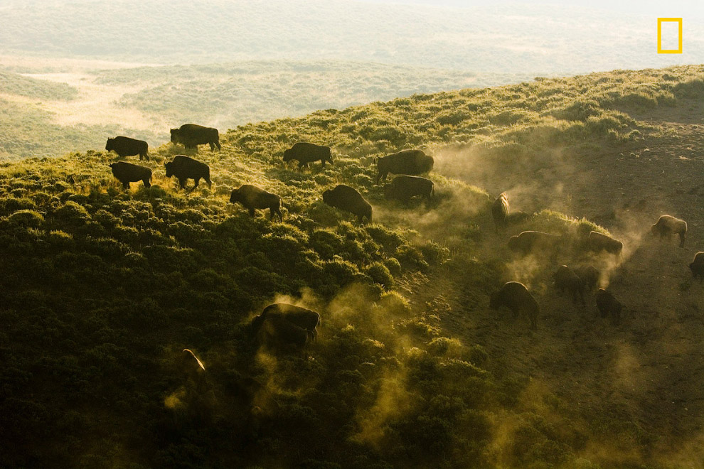 Великолепные ландшафты и дикая природа на снимках National Geographic