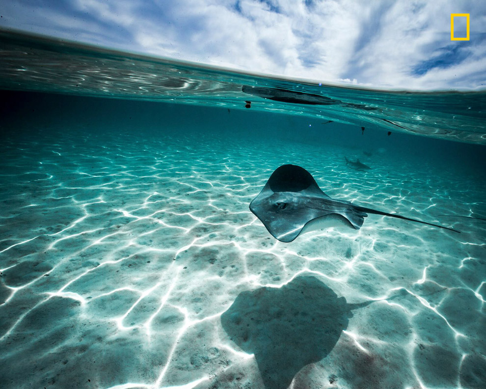 Великолепные ландшафты и дикая природа на снимках National Geographic