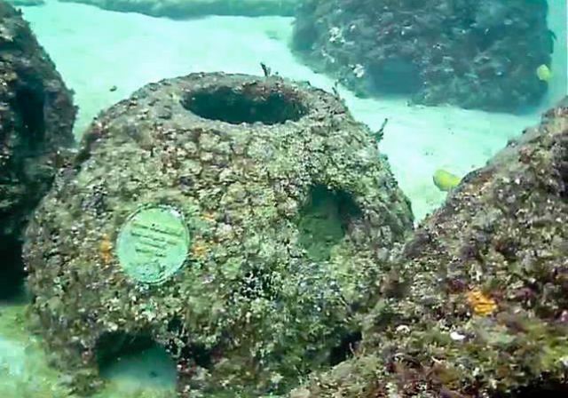 Что это за конструкции в Карибском море?
