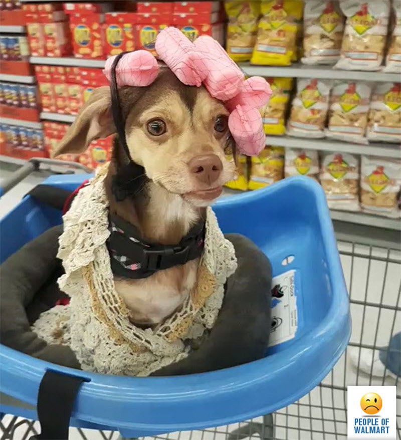 Экстравагантные покупатели Walmart