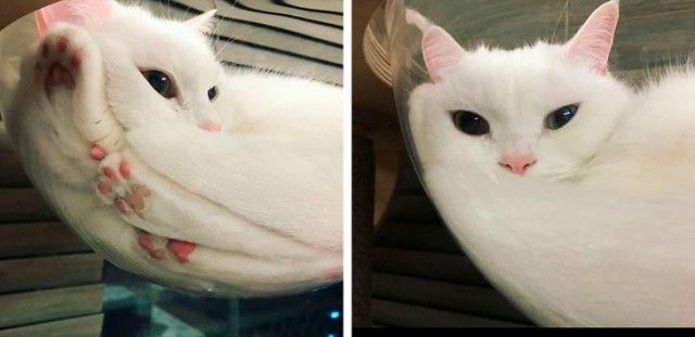 Удивительные вещи