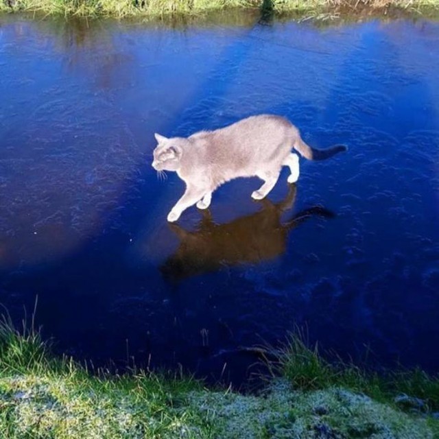 Удивительные вещи