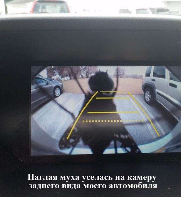 Порция картинок