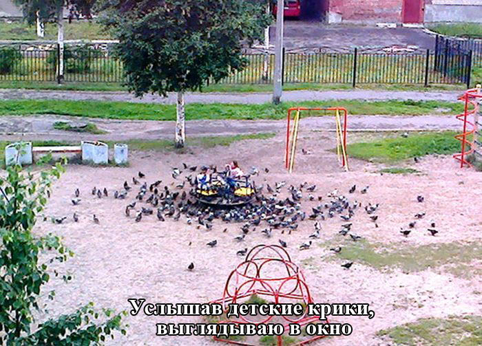 Порция картинок