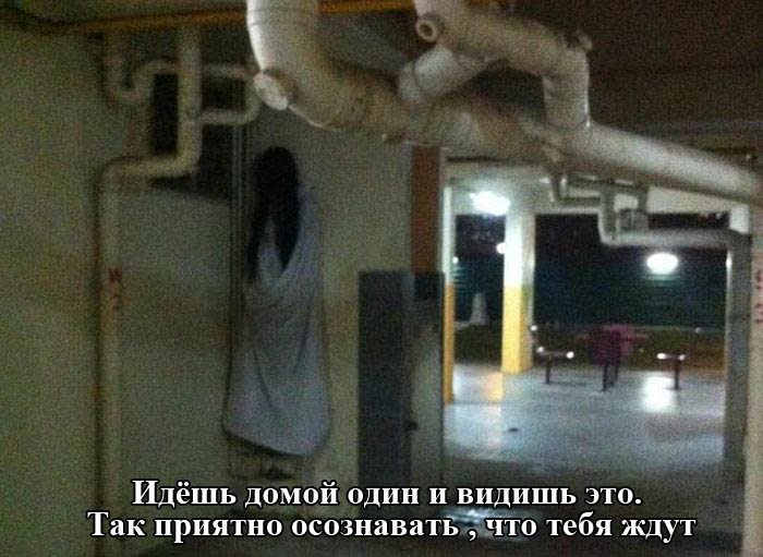 Порция картинок