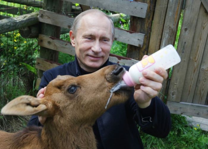 Жизнь Владимира Путина глазами американцев