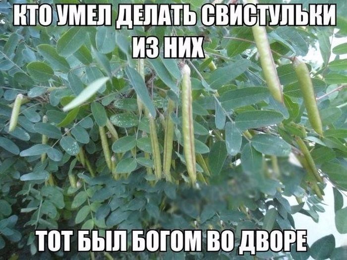 Ностальгические картинки с подписями