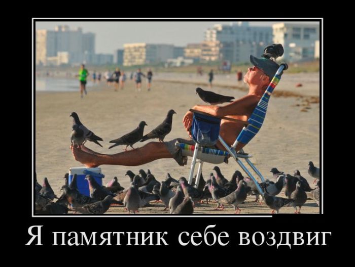 Демотиваторы
