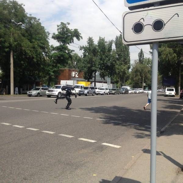 Прикольные картинки