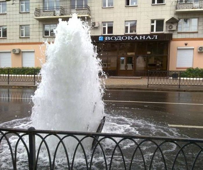 Прикольные картинки