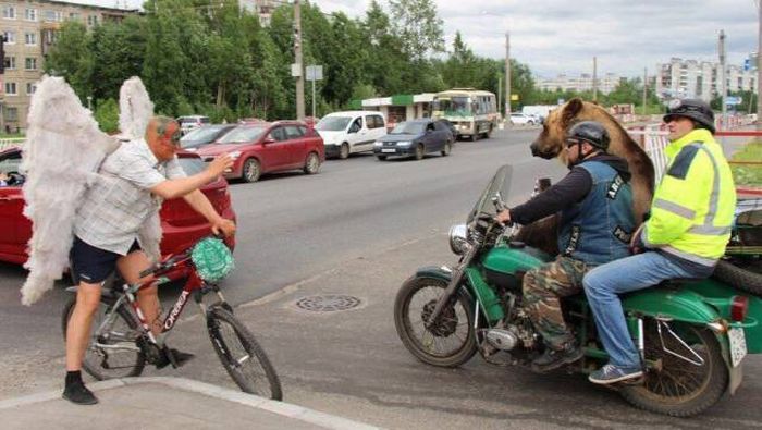 Прикольные картинки