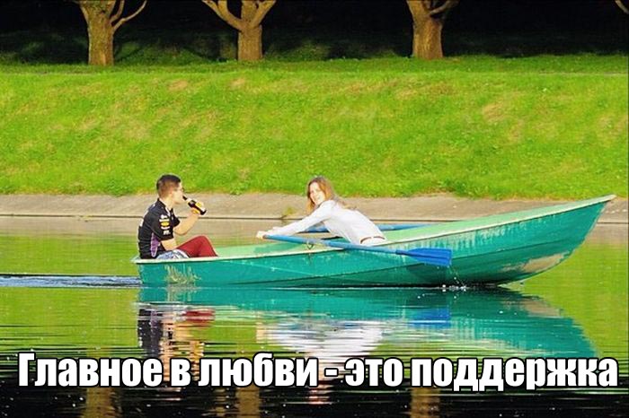 Прикольные картинки