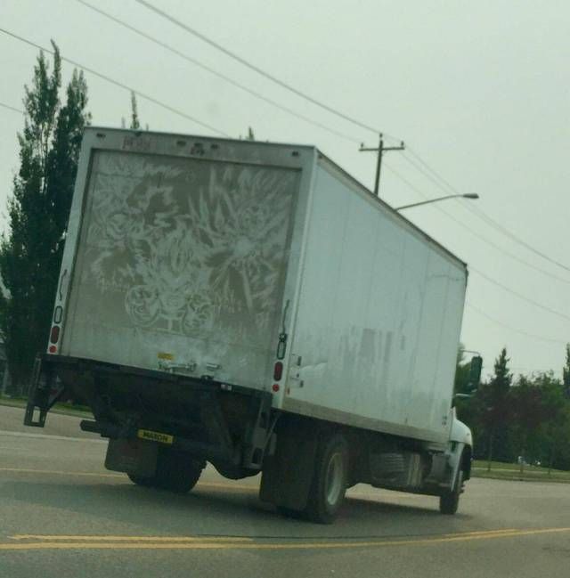 Прикольные картинки