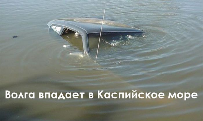 Прикольные картинки