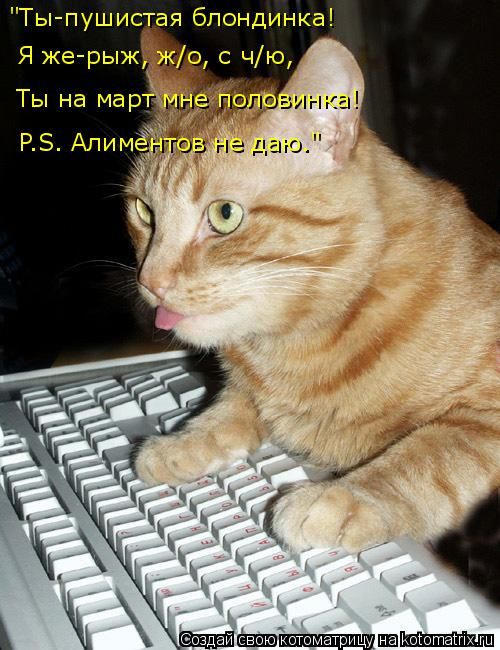 Лучшие котоматрицы недели