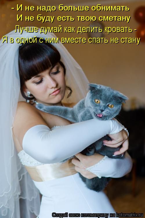 Лучшие котоматрицы недели