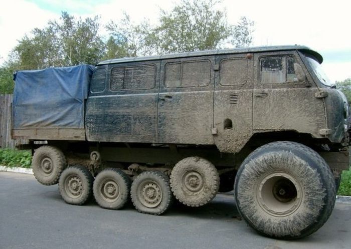 Прикольные картинки