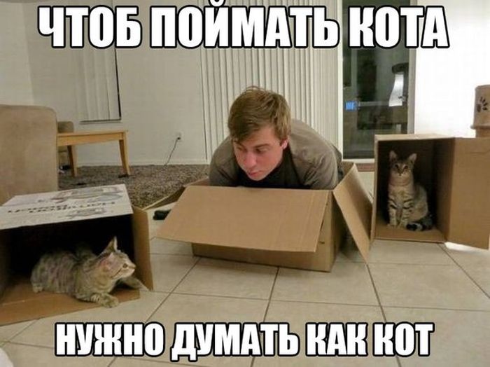 Порция картинок