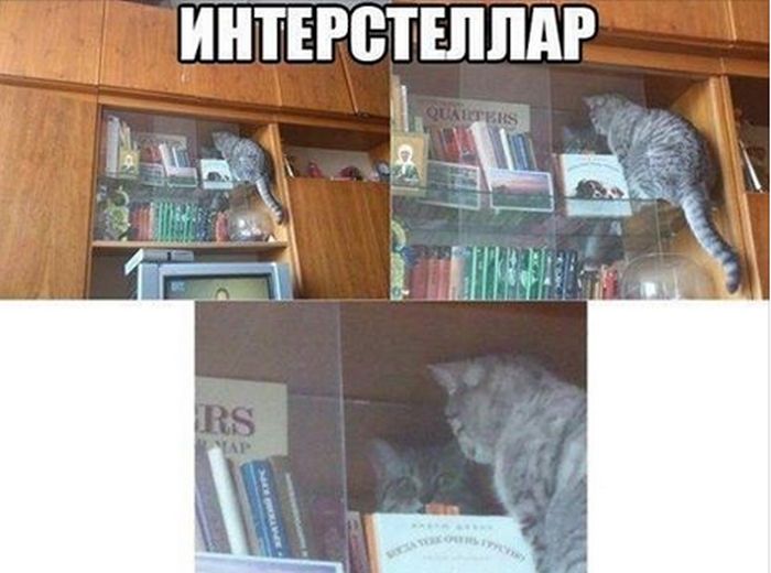 Порция картинок