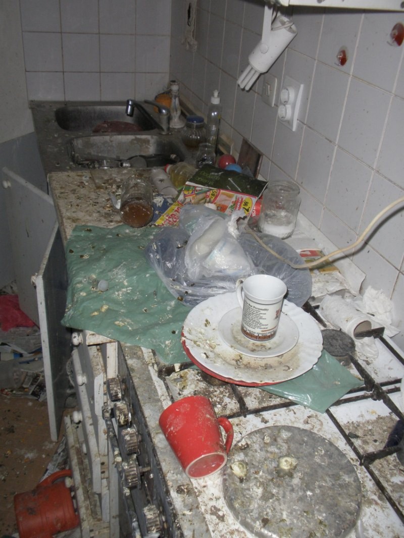 Голубятня в съемной квартире в Словении