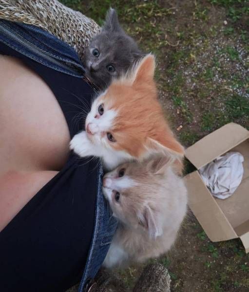 Прикольные картинки