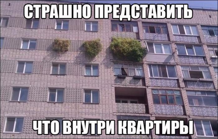 Прикольные картинки