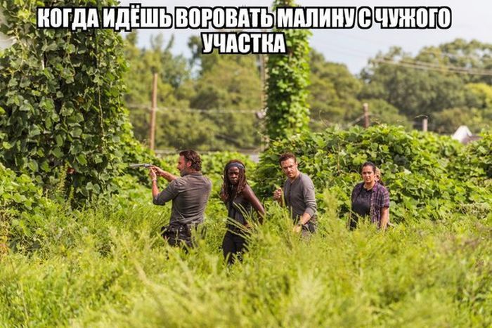 Подборка картинок с надписями