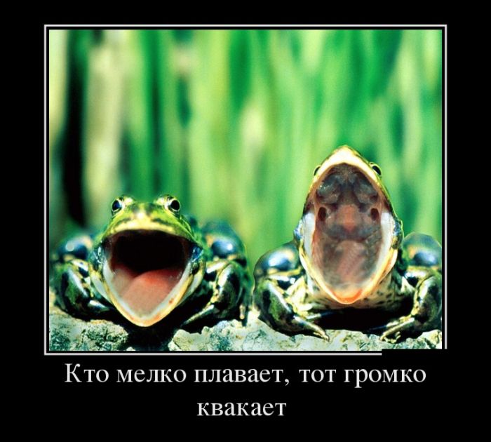 Демотиваторы
