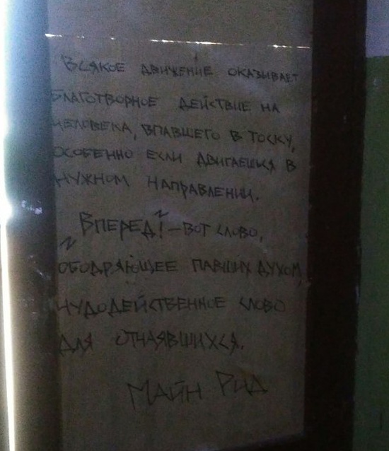 Цитаты и высказывания известных людей на стенах подъезда