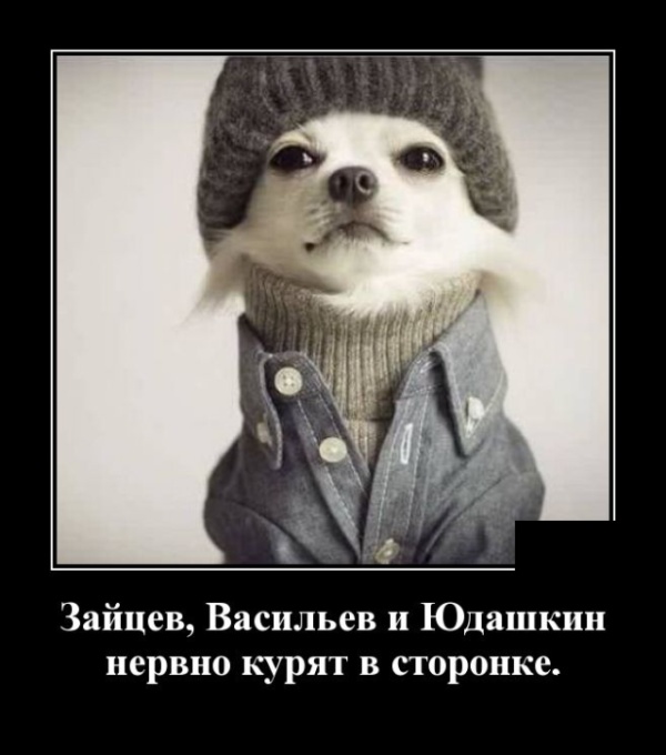 Демотиваторы