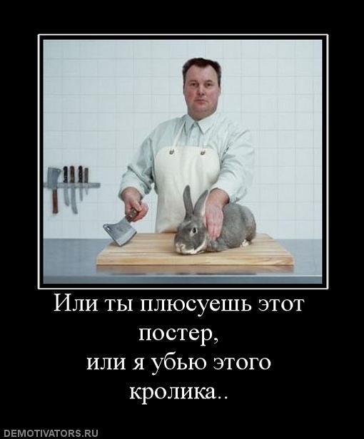 Демотиваторы (69 фото)