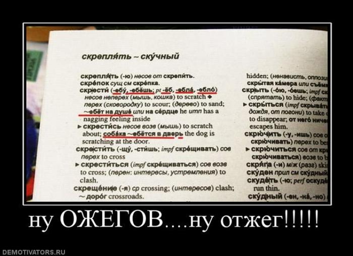 Демотиваторы (69 фото)