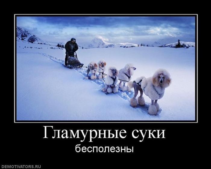 Демотиваторы (69 фото)