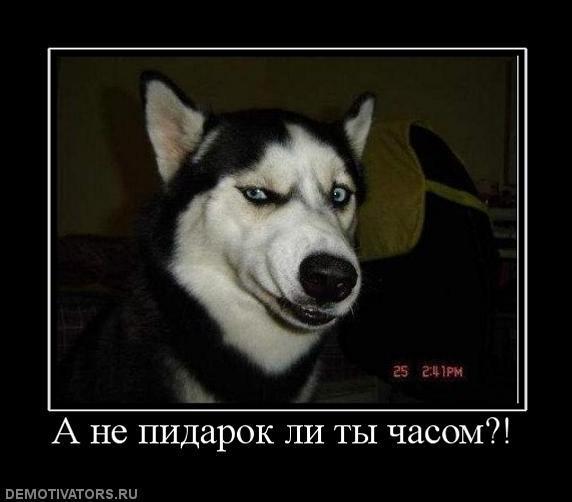 Демотиваторы (69 фото)
