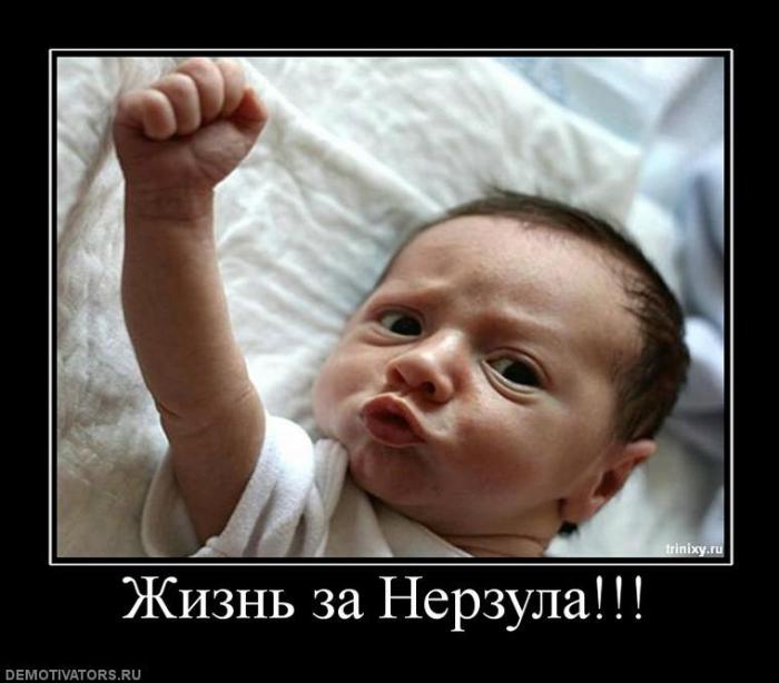 Демотиваторы (69 фото)