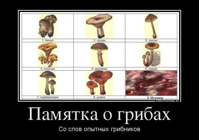 Демотиваторы (69 фото)