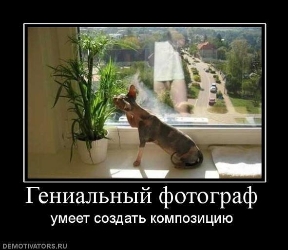 Демотиваторы (69 фото)